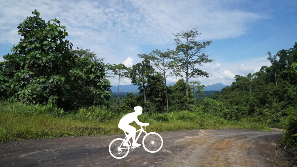 荒れた路面を走る自転車