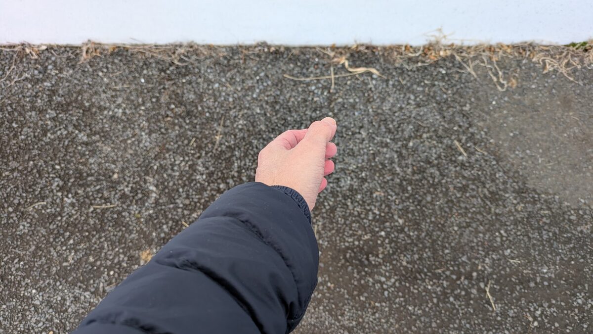 脱力しながら左手を前に上げた状態。手のひらが内側を向いている。